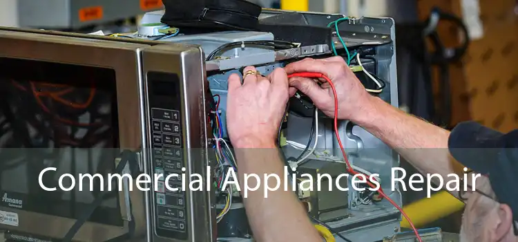 Commercial Appliances Repair 