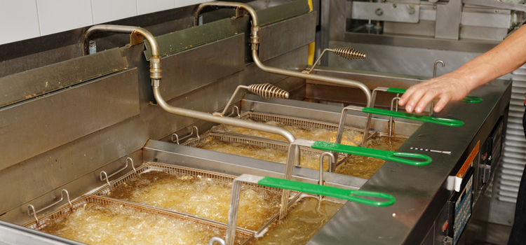 Fhiaba Commercial Fryer Repair in Innisfil
